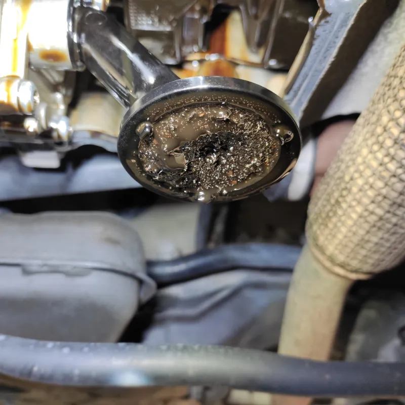 Cinghia a bagno d'olio Stellantis