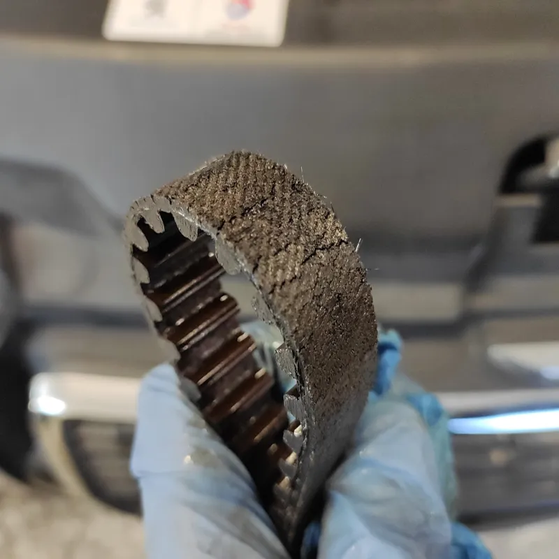 Cinghia a bagno d'olio Stellantis