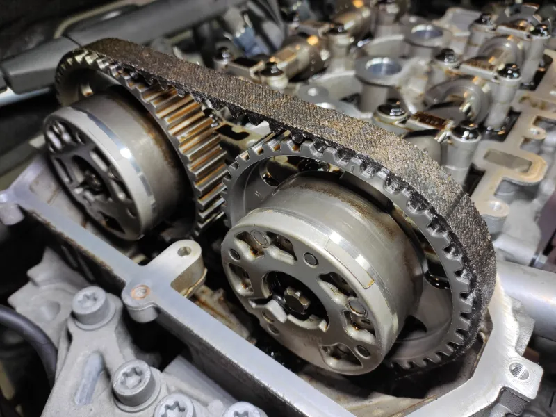 Cinghia a bagno d'olio Stellantis