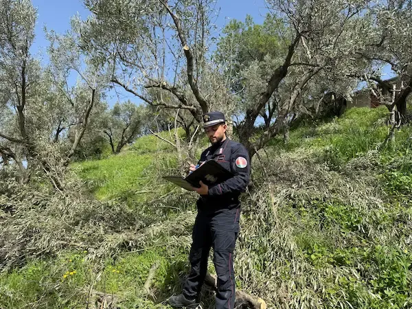 Carabinieri forestali a squillace