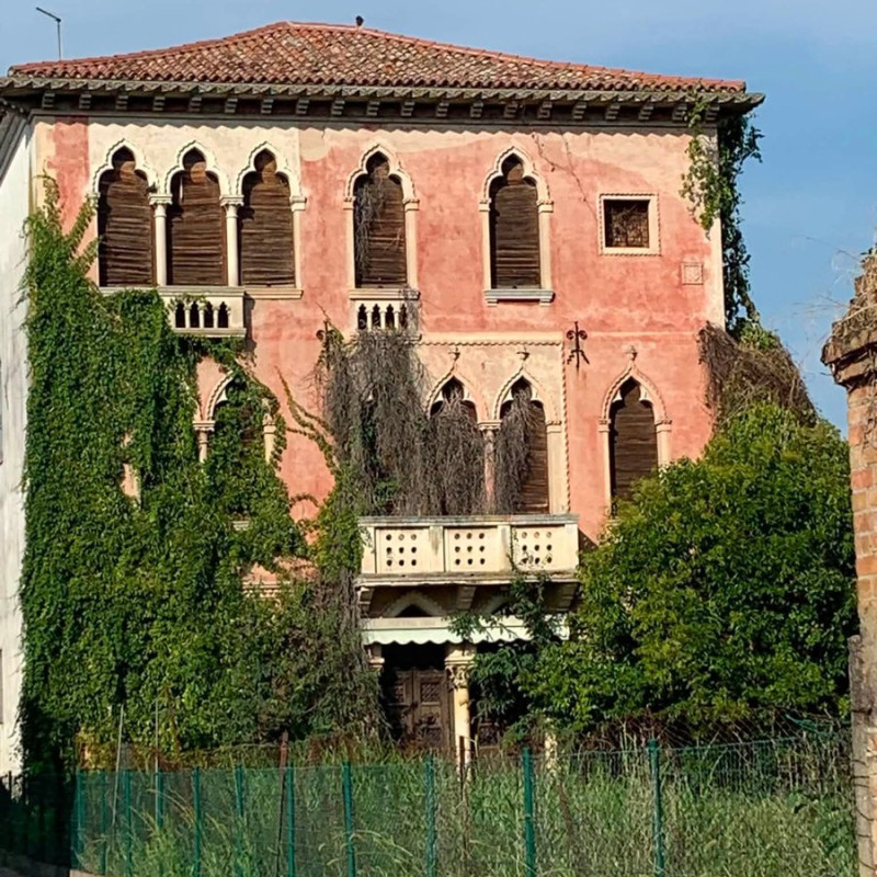 Evoluzione o dissipazione?