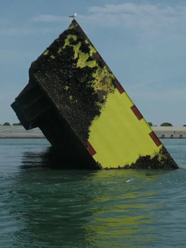 Paratoia mose alzata